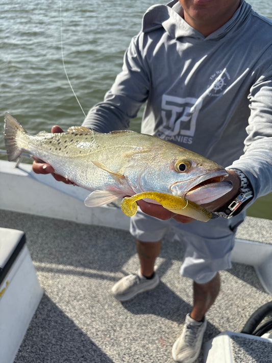 3.8” Dirty Bay’s “Dirty Blond”- 5pack