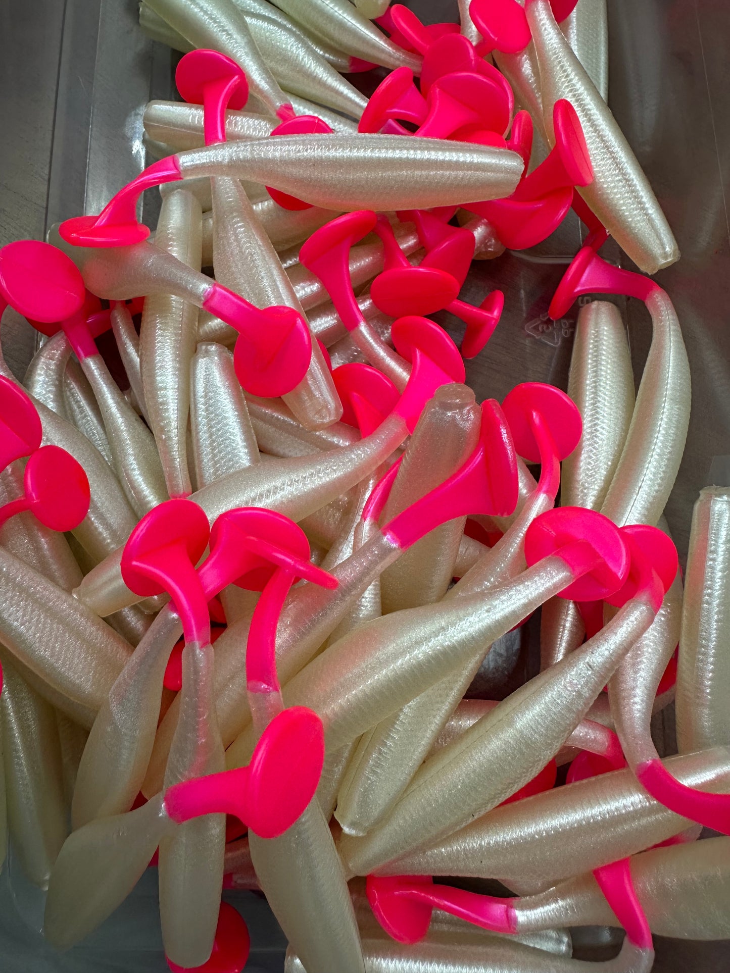 “Salty Pearl”  Pearl White Pink Tail Paddle Tail (5-Pack) – 3.8” Inshore Lures for Trout, Redfish & Flounder